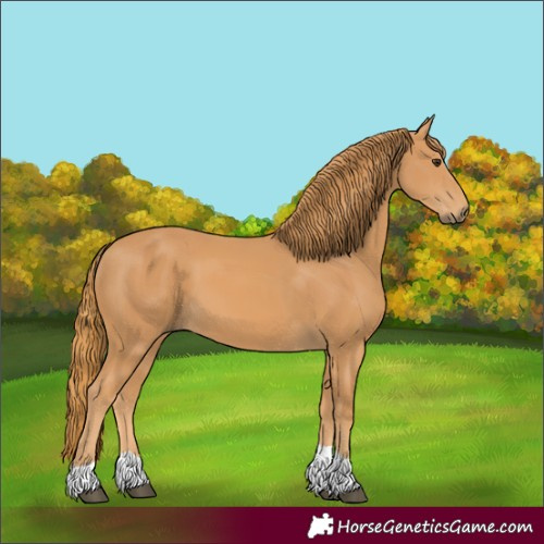 Horse Color:Chestnut Tobiano 