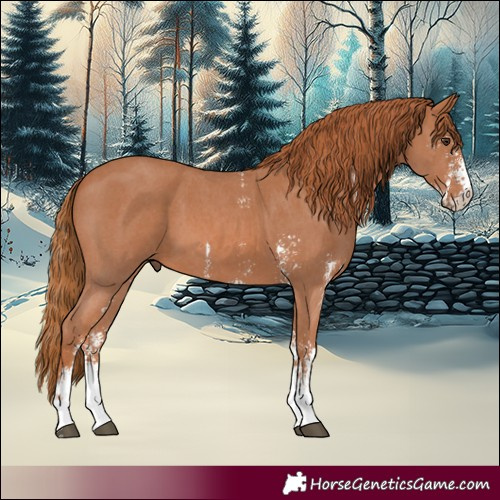 Horse Color:Chestnut Sabino 