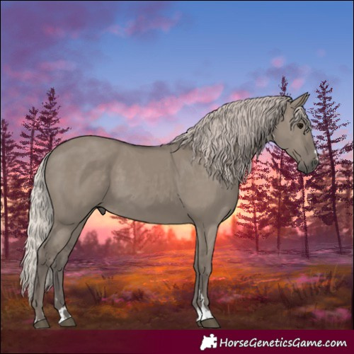 Horse Color:Silver Grullo 