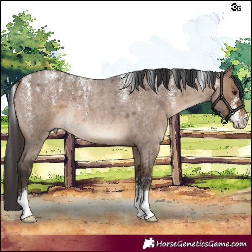 Horse Color:Powder White Brown Roan Dun Rabicano 