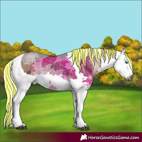 Horse Color:Painted Silver Smoky Black Merle 