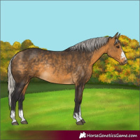 Horse Color:Silver Buckskin Rabicano 
