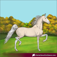 Horse Color:Silver Classic Champagne Dun Splash 