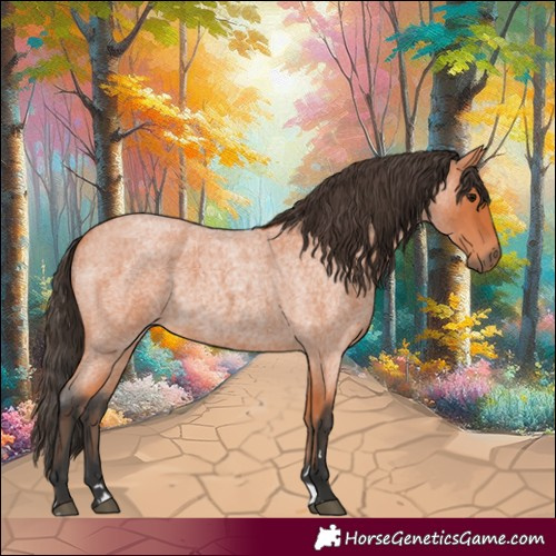 Horse Color:Bay Roan 