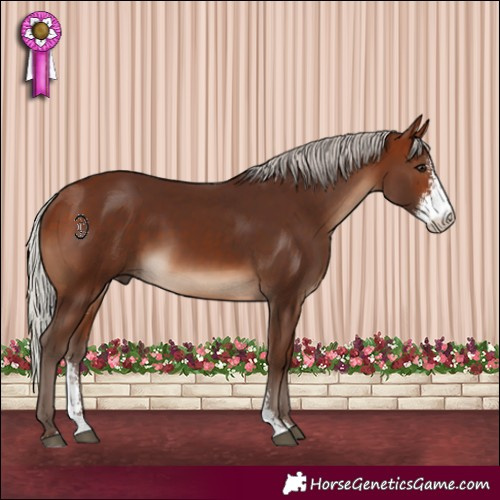 Horse Color:Silver Bay Sabino 