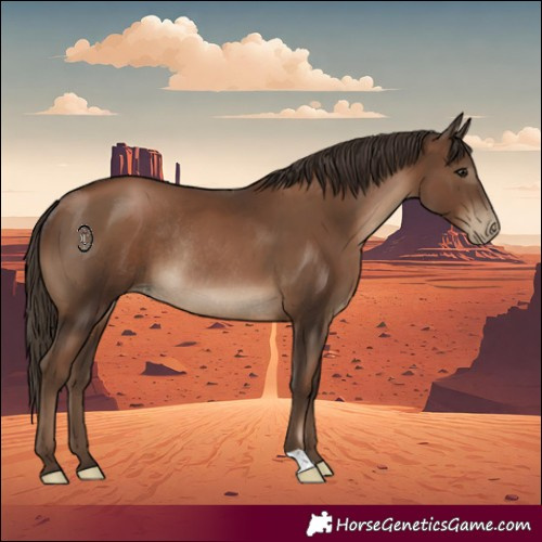 Horse Color:Gray Black Pearl Rabicano 