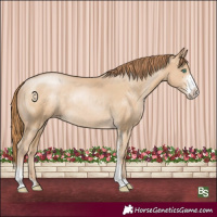 Horse Color:Smoky Black Pearl Sabino Rabicano 