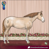 Horse Color:Smoky Black Pearl Sabino Rabicano