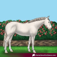Horse Color:Perlino Dun  and Perlino Dun 