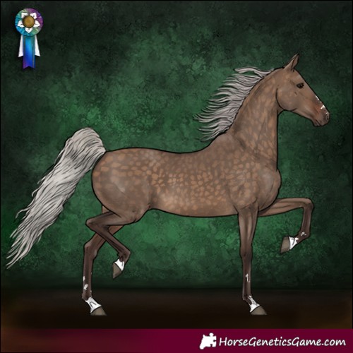 Horse Color:Silver Brown Dun 