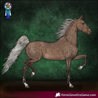 Horse Color:Silver Brown Dun 