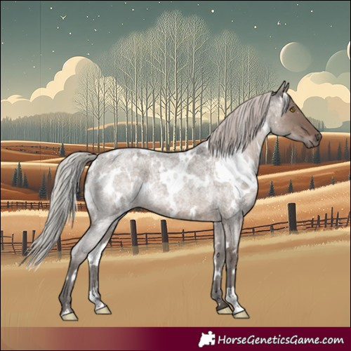 Horse Color:White Spotted Silver Grullo Roan 