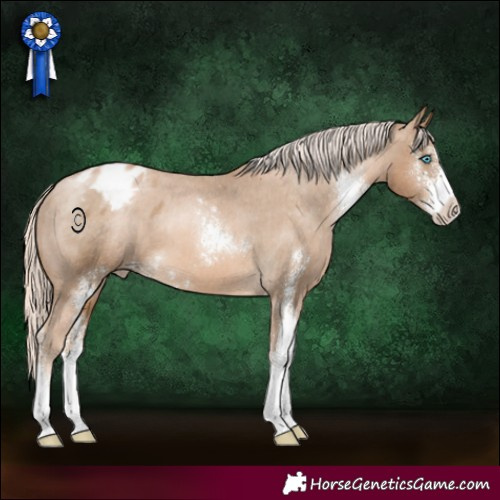 Horse Color:Chocolate Palomino Pearl Sabino Varnish 
