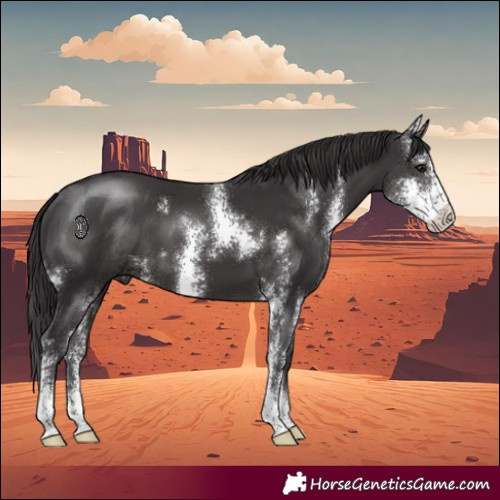 Horse Color:Smoky Black Sabino 