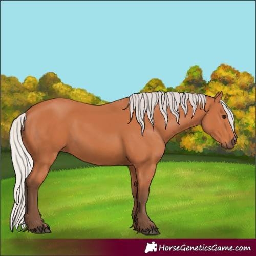 Horse Color:Silver Bay