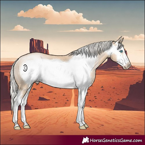 Horse Color:Silver Smoky Black Pearl Sabino Frame Rabicano 