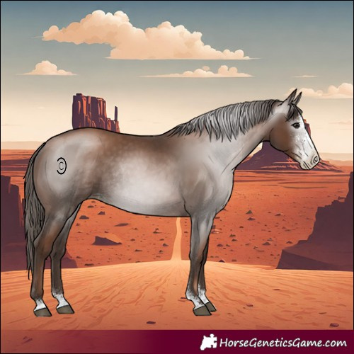 Horse Color:Gray Black Pearl Sabino Rabicano 