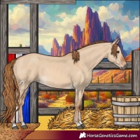 Horse Color:Red Dun Rabicano 