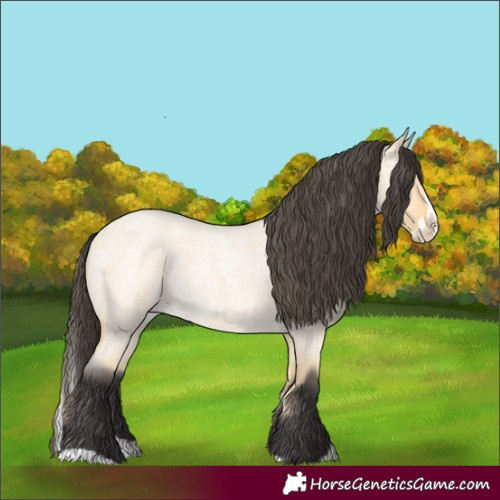 Horse Color:Buckskin Roan Dun Splash 