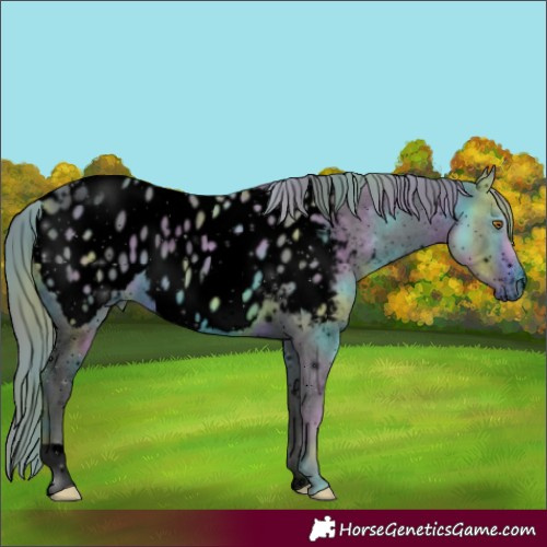 Horse Color:ERROR: UNKNOWN ANOMALY