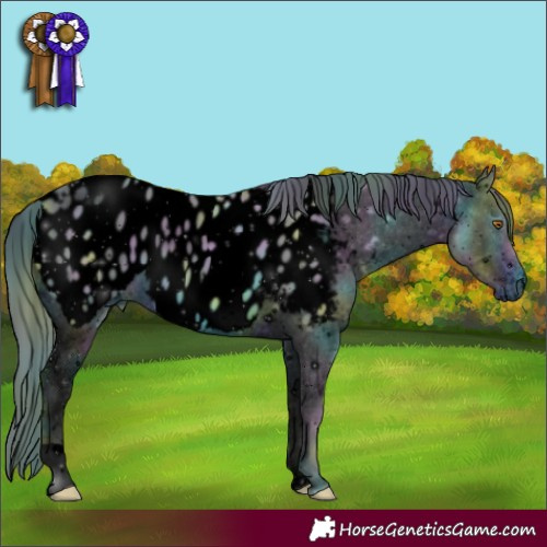 Horse Color:ERROR: UNKNOWN ANOMALY