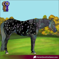 Horse Color:ERROR: UNKNOWN ANOMALY