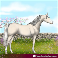 Horse Color:Cremello 