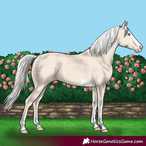 Horse Color:Silver Perlino 