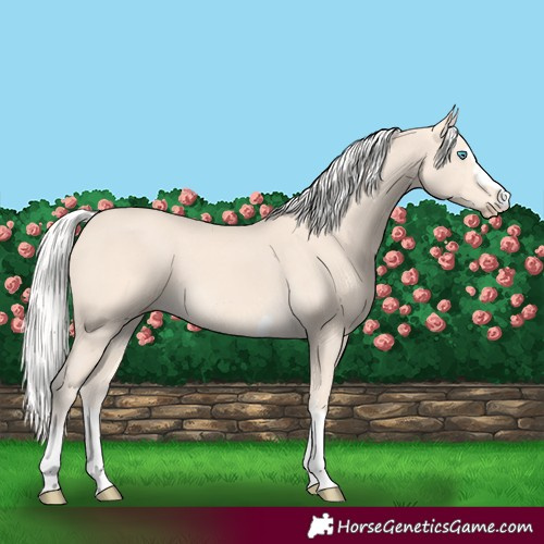 Horse Color:Silver Perlino 