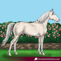 Horse Color:Silver Perlino 