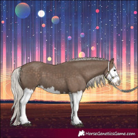 Horse Color:Silver Black Splash 