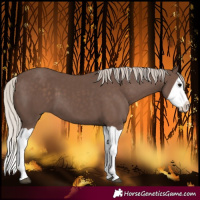 Horse Color:Silver Black Splash 