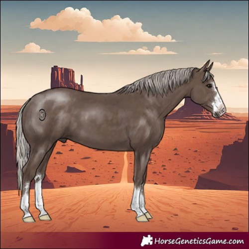 Horse Color:Silver Black 