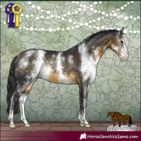 Horse Color:Buckskin Sabino Rabicano 