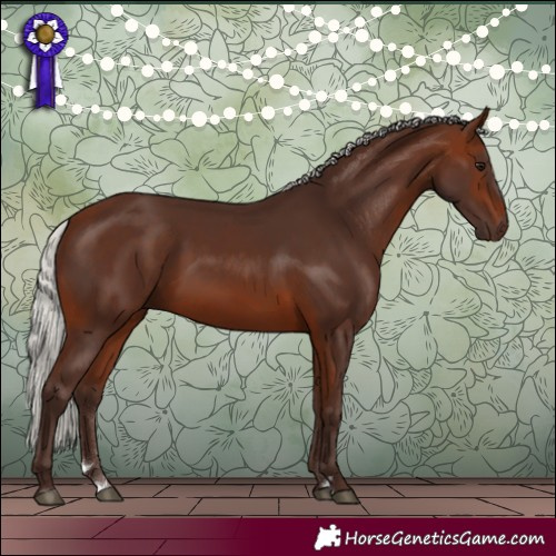 Horse Color:Silver Brown 