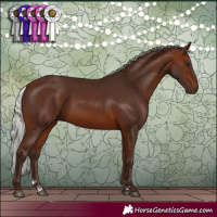 Horse Color:Silver Brown 