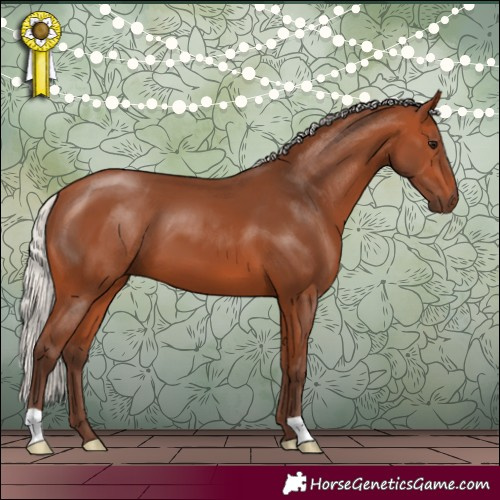 Horse Color:Silver Bay 