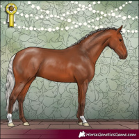 Horse Color:Silver Bay 