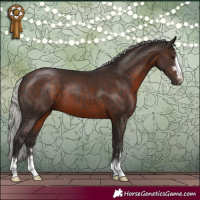 Horse Color:Silver Brown