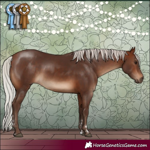 Horse Color:Silver Brown 