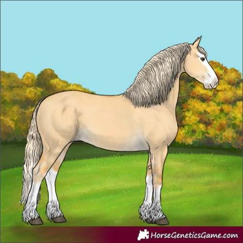 Horse Color:Palomino Dun Splash 