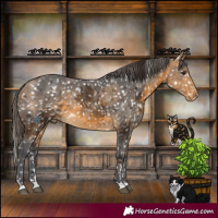 Horse Color:Buckskin Merle Snowflake Varnish