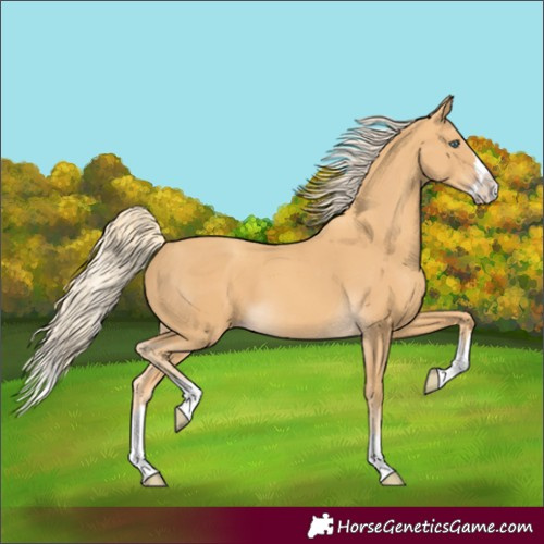 Horse Color:Gold Cream Champagne Splash 