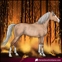 Horse Color:Silver Bay Dun Rabicano