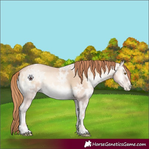 Horse Color:Smoky Blue Onyx Ice Pearl 
