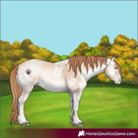 Horse Color:Smoky Blue Onyx Ice Pearl