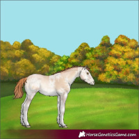 Horse Color:Smoky Blue Onyx Ice Pearl