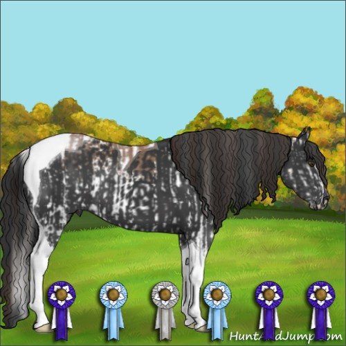 Horse Color:White Spotted Sable Champagne Tobiano and Brown Tobiano