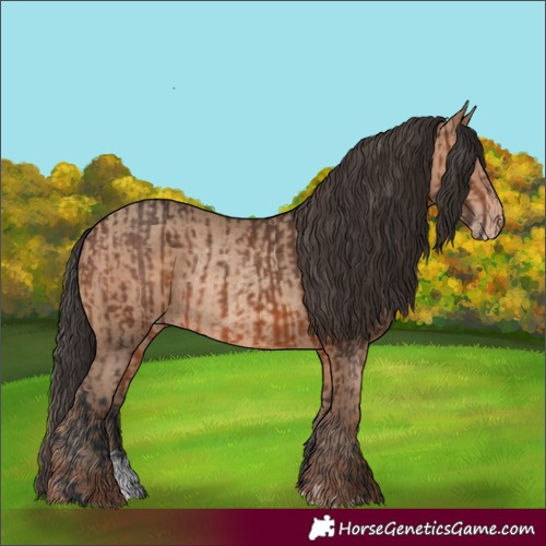 Horse Color:Brown Rabicano and Sable Champagne Rabicano