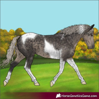 Horse Color:Silver Smoky Black Tobiano 